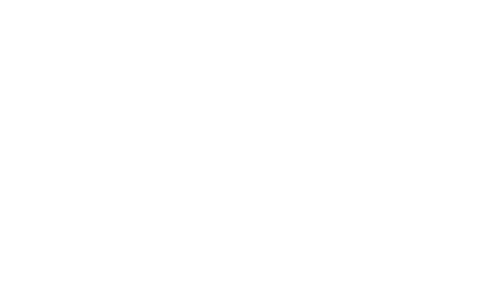 logo il riccio